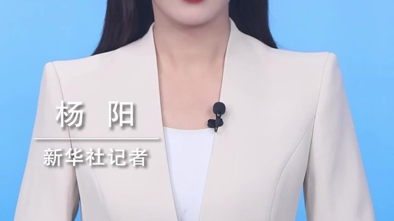 数据按需定制平台：揭秘其排名背后的逻辑